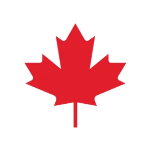 IP IMMIGRATION PROS INC.